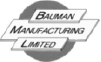 Bauman Logo