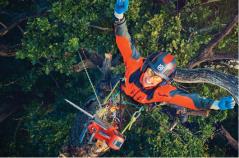 Husqvarna Chainsaws